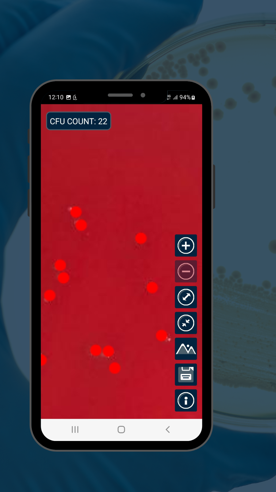 12